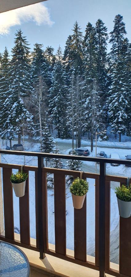Borovets Cozy Mountain Apartments Exterior foto